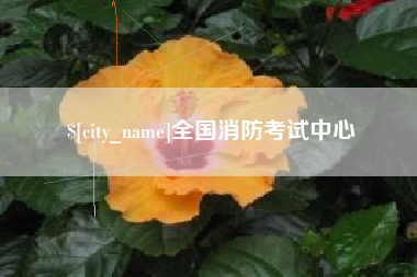 杭州全国消防考试中心