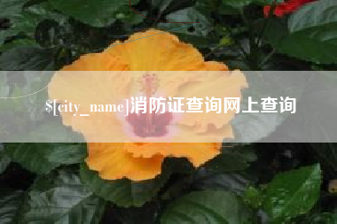 杭州消防证查询网上查询