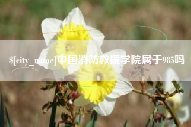 杭州中国消防救援学院属于985吗