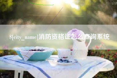 杭州消防资格证怎么查询系统