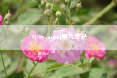 杭州第九金是
