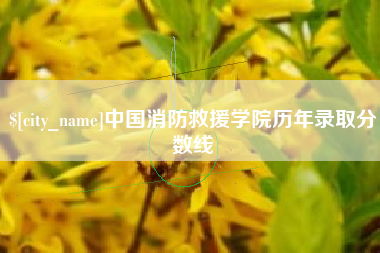 杭州中国消防救援学院历年录取分数线