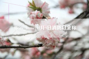 杭州11月9日消防日全称