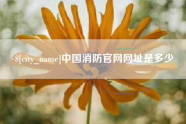 杭州中国消防官网网址是多少