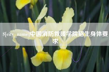 杭州中国消防救援学院招生身体要求