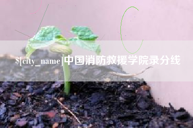 杭州中国消防救援学院录分线