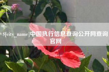 杭州中国执行信息查询公开网查询官网