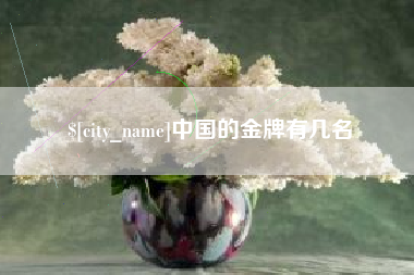 杭州中国的金牌有几名