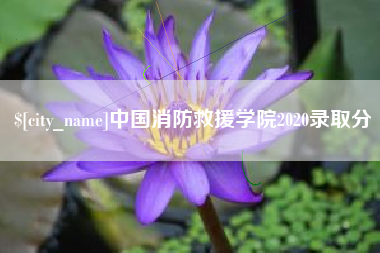 杭州中国消防救援学院2020录取分
