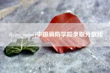 杭州中国消防学院录取分数线