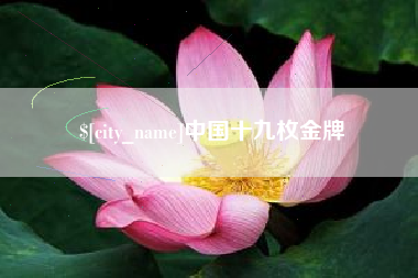 杭州中国十九枚金牌
