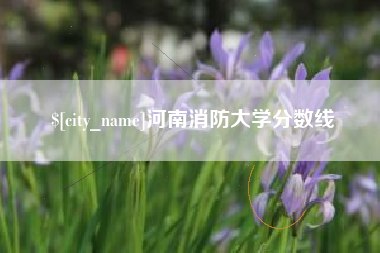 杭州河南消防大学分数线