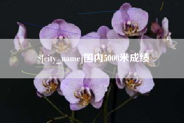 杭州国内5000米成绩