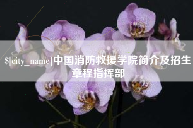 杭州中国消防救援学院简介及招生章程指挥部