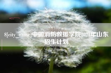 杭州中国消防救援学院2021年山东招生计划
