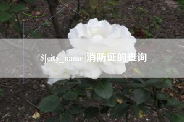 杭州消防证的查询