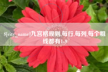 杭州九宫格规则,每行,每列,每个粗线都有1-9