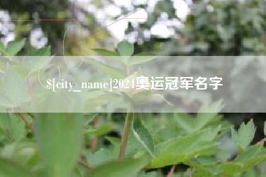 杭州2024奥运冠军名字