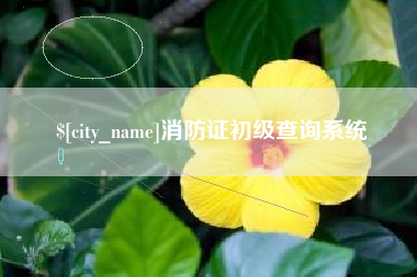 杭州消防证初级查询系统