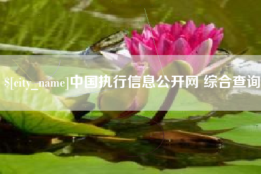 杭州中国执行信息公开网 综合查询