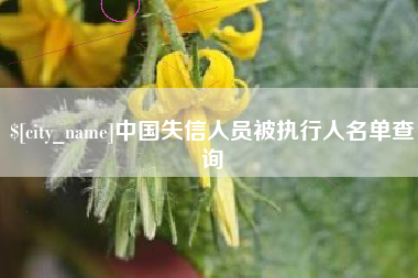 杭州中国失信人员被执行人名单查询