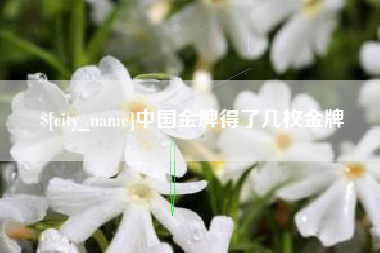 杭州中国金牌得了几枚金牌