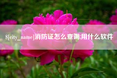 杭州消防证怎么查询,用什么软件