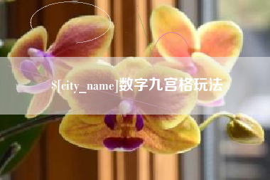 杭州数字九宫格玩法