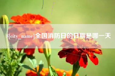 杭州全国消防日的日期是哪一天