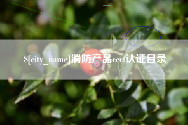 杭州消防产品cccf认证目录