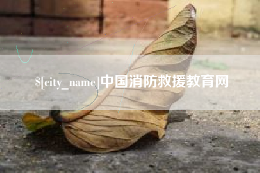 杭州中国消防救援教育网