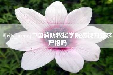 杭州中国消防救援学院对视力要求严格吗