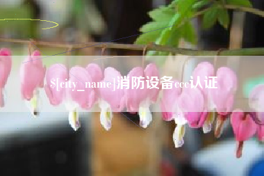 杭州消防设备ccc认证