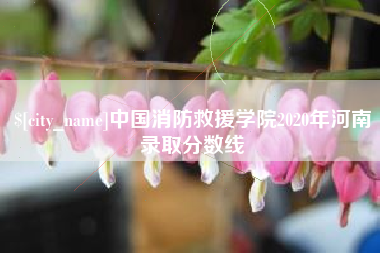 杭州中国消防救援学院2020年河南录取分数线