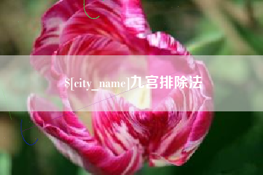 杭州九宫排除法