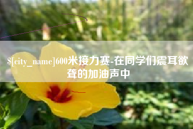杭州600米接力赛-在同学们震耳欲聋的加油声中