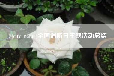 杭州全国消防日主题活动总结
