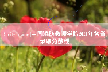 杭州中国消防救援学院2021年各省录取分数线