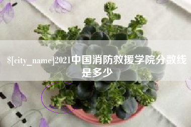 杭州2021中国消防救援学院分数线是多少