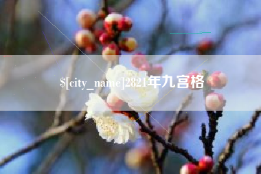 杭州2821年九宫格