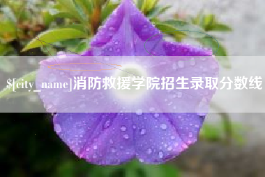 杭州消防救援学院招生录取分数线