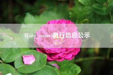 杭州执行信息公示