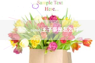 杭州王子豪是怎么写