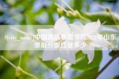 杭州中国消防救援学院2021年山东录取分数线是多少