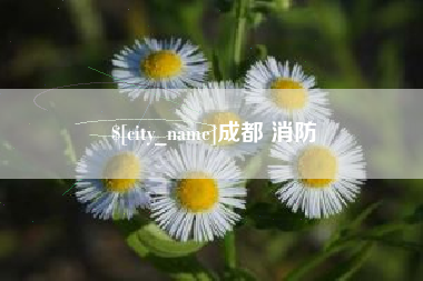 杭州成都 消防