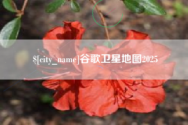 杭州谷歌卫星地图2025