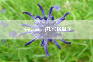 杭州九宫格盘子
