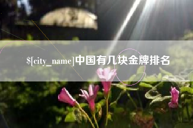 杭州中国有几块金牌排名