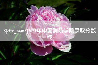 杭州2021年中国消防学院录取分数线