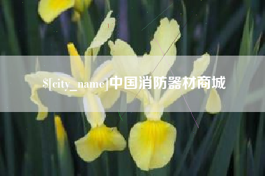 杭州中国消防器材商城